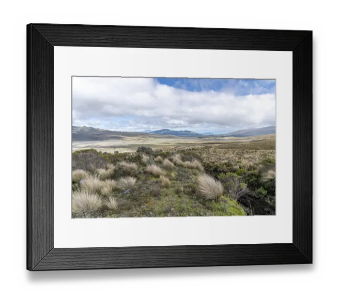 Framed Print : Vast mountain landscape with Peruvian feathergrass and cloudy sky Framed Print : Vast mountain landscape with Peruvian feathergrass and cloudy sky