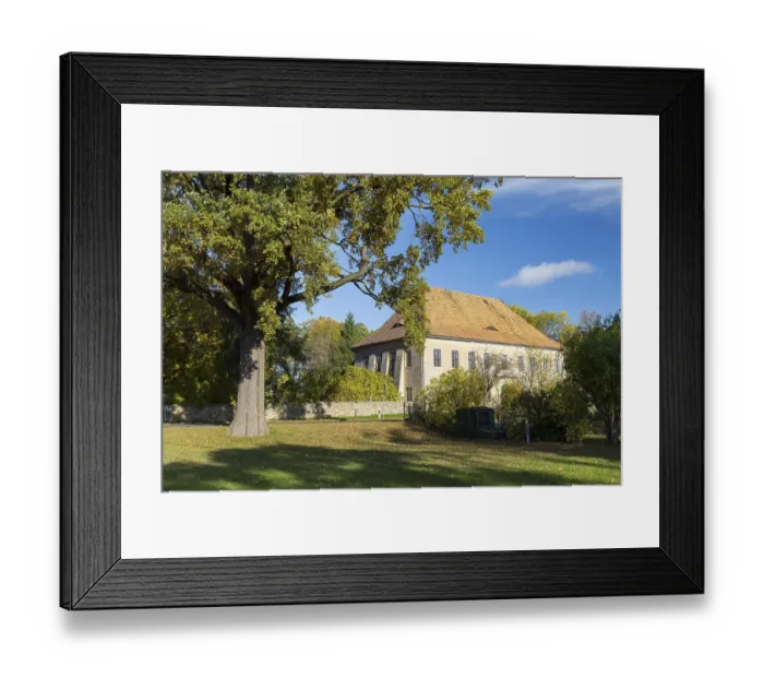 Framed Print : Old oak (Quercus) and historic building in Diehsa Framed Print : Old oak (Quercus) and historic building in Diehsa