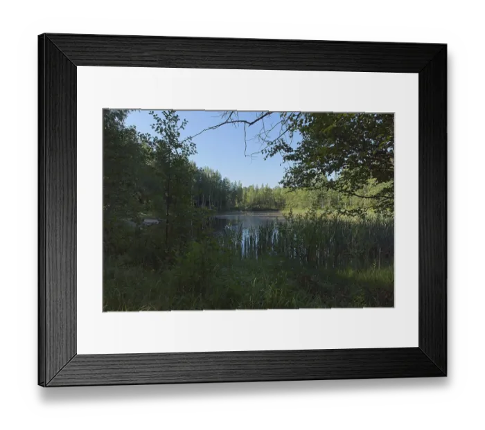 Framed Print : View of small pond in forest in summer Framed Print : View of small pond in forest in summer