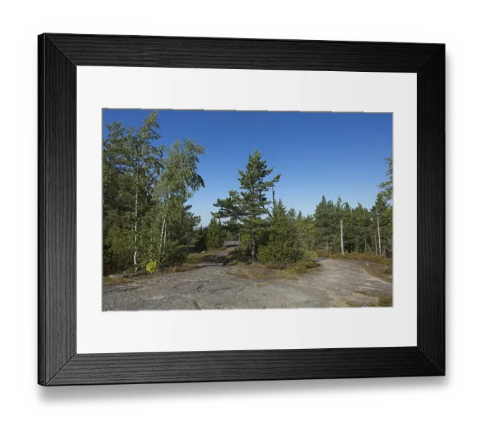 Framed Print : View of top of rock area with bare spots and trees in summer Framed Print : View of top of rock area with bare spots and trees in summer