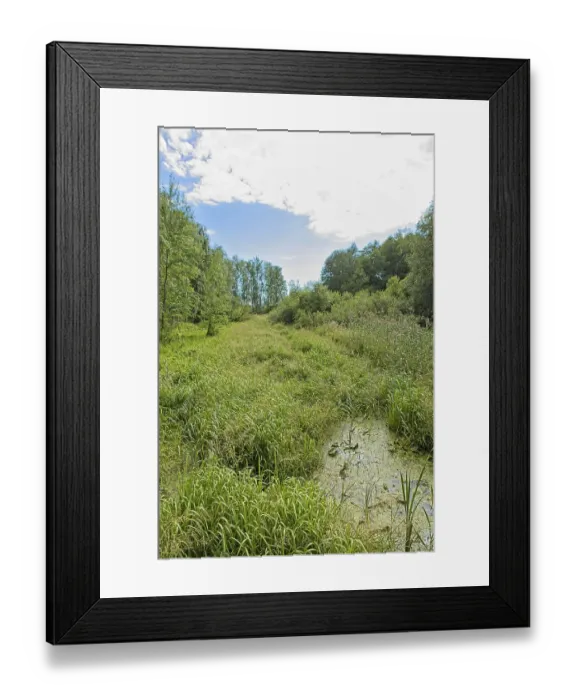 Framed Print : Overgrown canal at Pornaistenniemi in cloudy summer weather Framed Print : Overgrown canal at Pornaistenniemi in cloudy summer weather