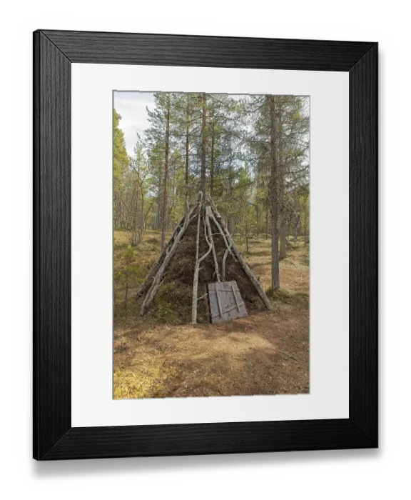 Framed Print : Old Skolt Sami sheep shelter at Sevettijarvi open-air museum in spring