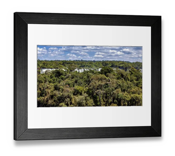 Framed Print : A densely forested horizon under a cloud-covered sky