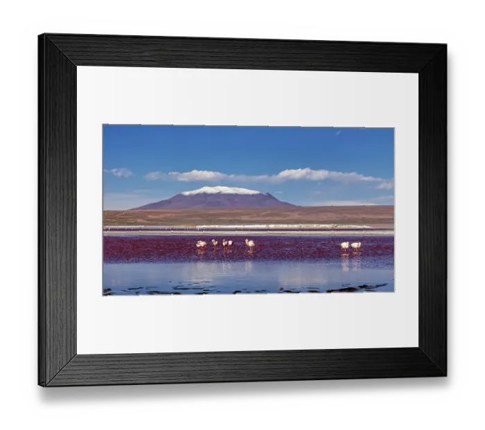 Framed Print : Snow-covered mountain in the background