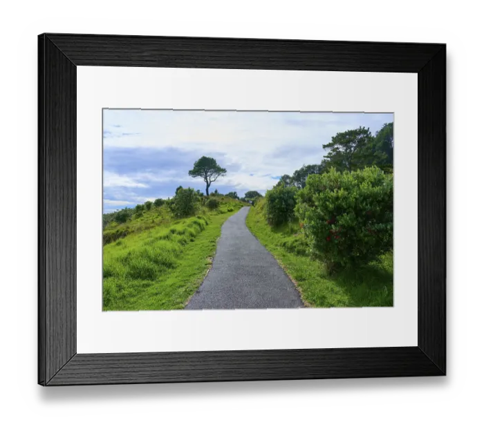 Framed Print : A paved path leads through a green landscape with a prominent tree under a cloudy sky