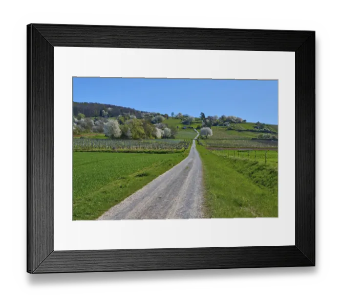 Framed Print : A country lane leads through a green spring landscape with blossoming trees and a sunny blue sky