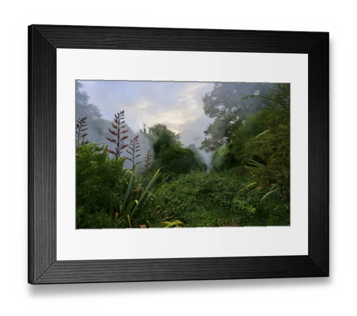 Framed Print : Enchanted misty landscape with dense vegetation and soft light Framed Print : Enchanted misty landscape with dense vegetation and soft light