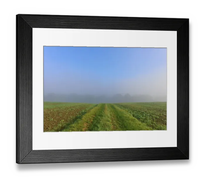 Framed Print : Fields under a clear sky with fog in the background Framed Print : Fields under a clear sky with fog in the background