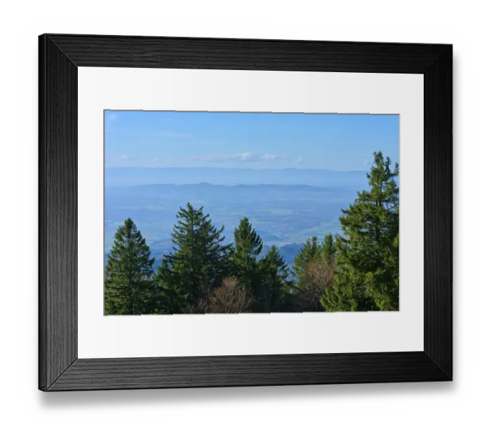 Framed Print : Forest landscape with a clear blue sky in the background