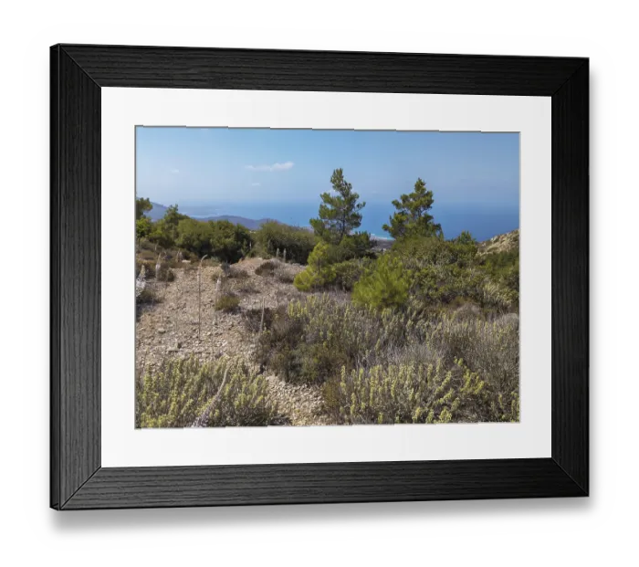 Framed Print : Natural landscape with shrubs and trees and the sea in the distance Framed Print : Natural landscape with shrubs and trees and the sea in the distance