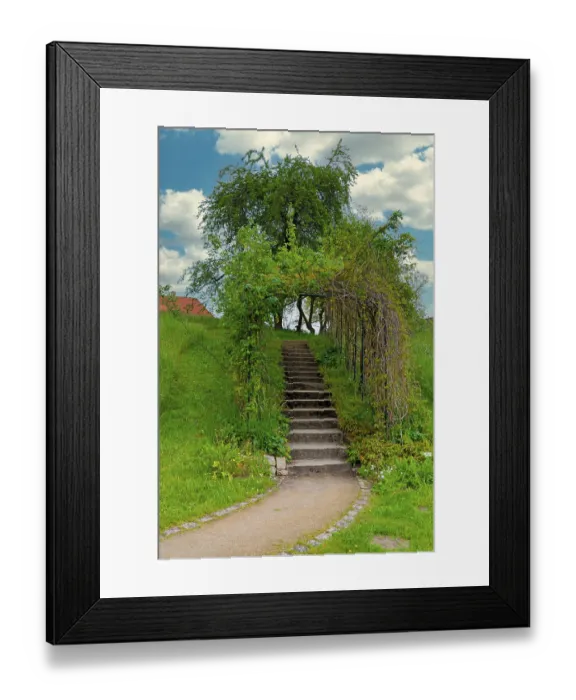 Framed Print : Medicinal plant garden, Celle, Lower Saxony