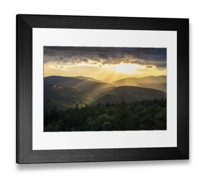 Framed Print : View of the forest from the Teltschikturm at sunset Framed Print : View of the forest from the Teltschikturm at sunset