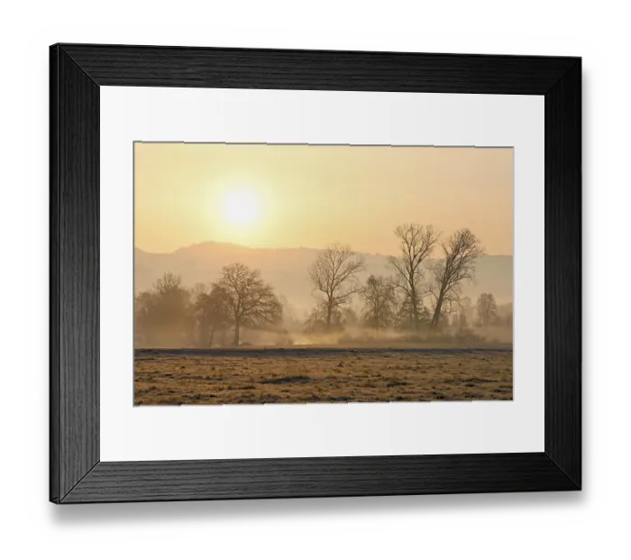 Framed Print : Meadows and trees in the early morning mist in the light of the rising sun