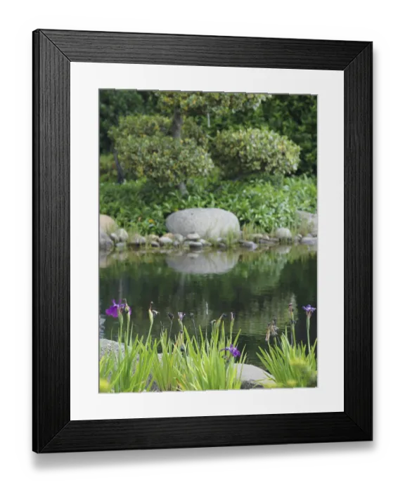Framed Print : Quiet pond with flowers and trees