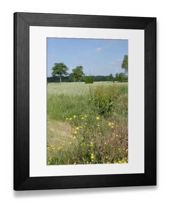 Framed Print : Yellow flowers at the edge of a field with wind turbines in the background