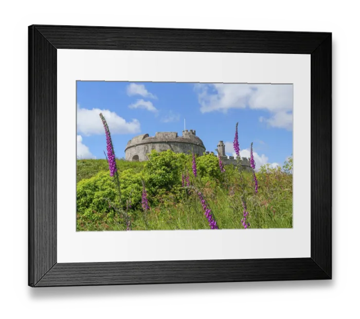 Framed Print : Flower meadow leads to a stone castle under a blue sky