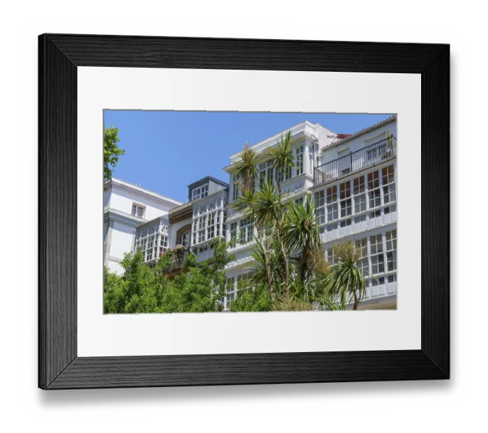 Framed Print : Building with large windows and palm trees in the foreground