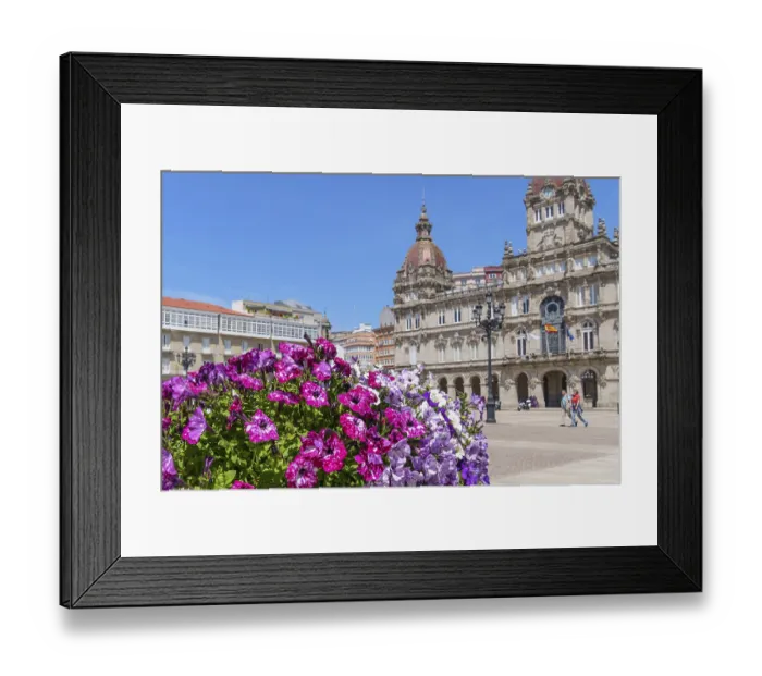 Framed Print : Vibrant flowers in the foreground Framed Print : Vibrant flowers in the foreground