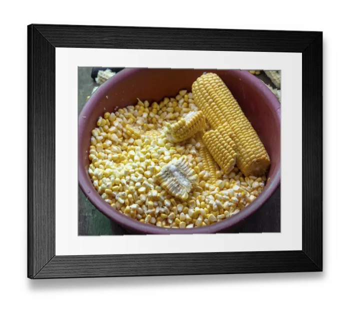 Framed Print : Corn on the corn cob and corn kernels