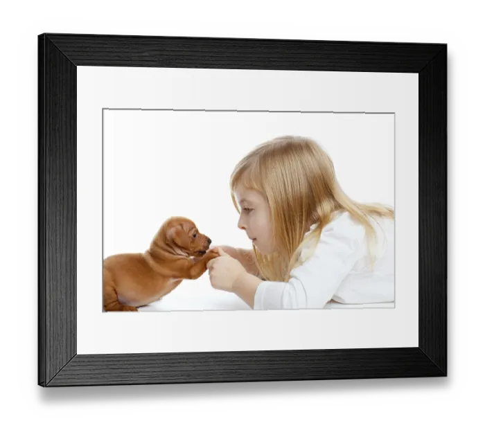 Framed Print : Blond children girl with dog puppy mascot mini pinscher on white background