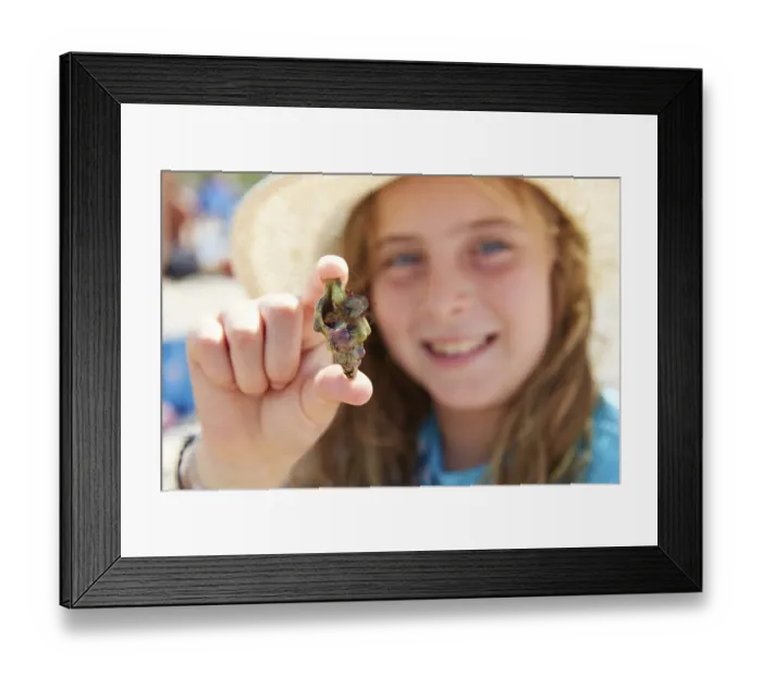 Framed Print : Blonk kid girl holding hermit crab closeup