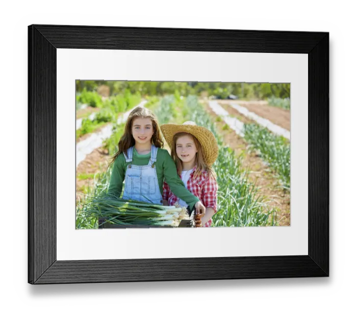 Framed Print : Litte kid farmer girls in onion harvest at orchard