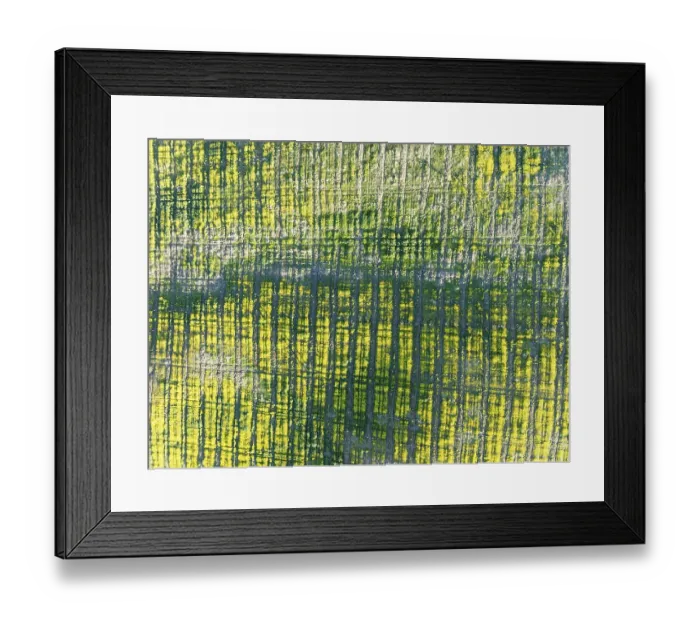 Framed Print : Cultivated land. Aerial view. Drone shot
