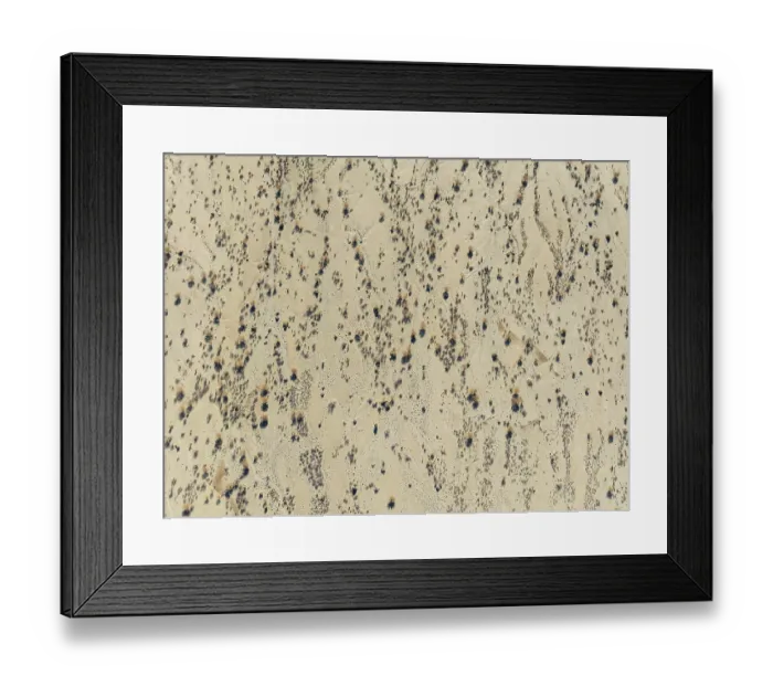 Framed Print : Arid desert plain and dried-up riverbeds with sparse vegetation