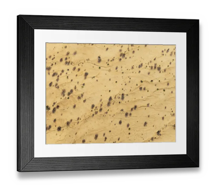 Framed Print : Arid desert plain with sparse vegetation Framed Print : Arid desert plain with sparse vegetation