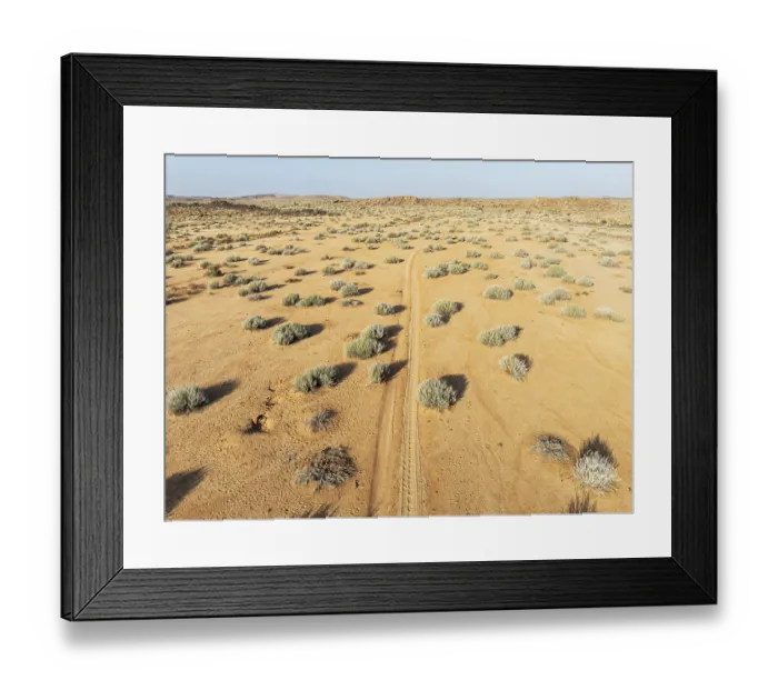 Framed Print : Masses of Euphorbia gregaria and desert track