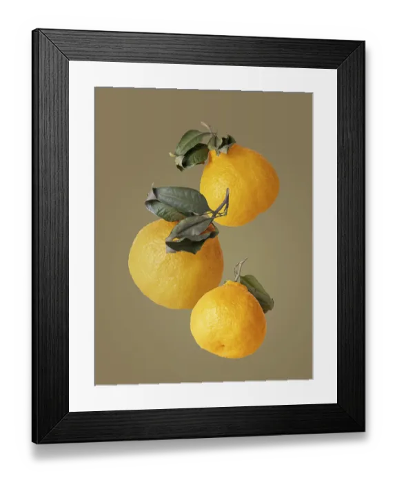 Framed Print : Three Chinese Mandarins on a Beige Background Framed Print : Three Chinese Mandarins on a Beige Background