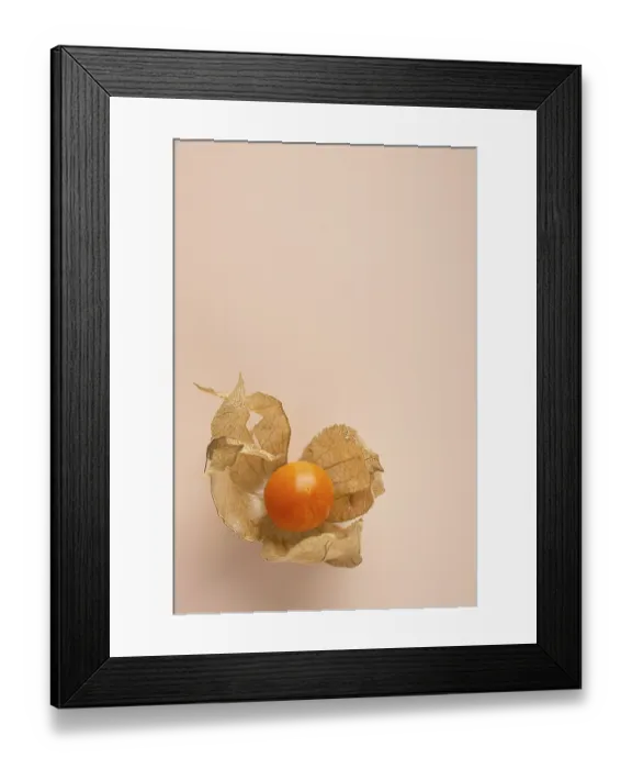 Framed Print : One physalis berry on a beige background Framed Print : One physalis berry on a beige background
