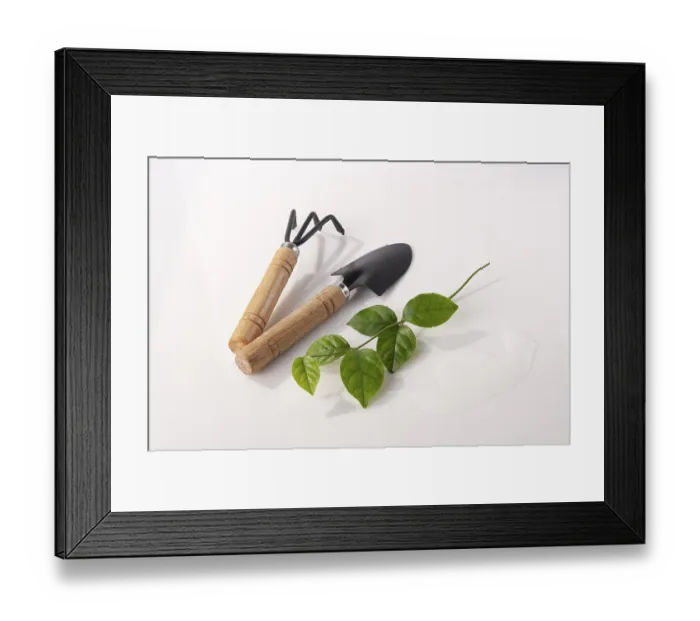 Framed Print : Gardening tools and a young shoot of a plant on a white glass