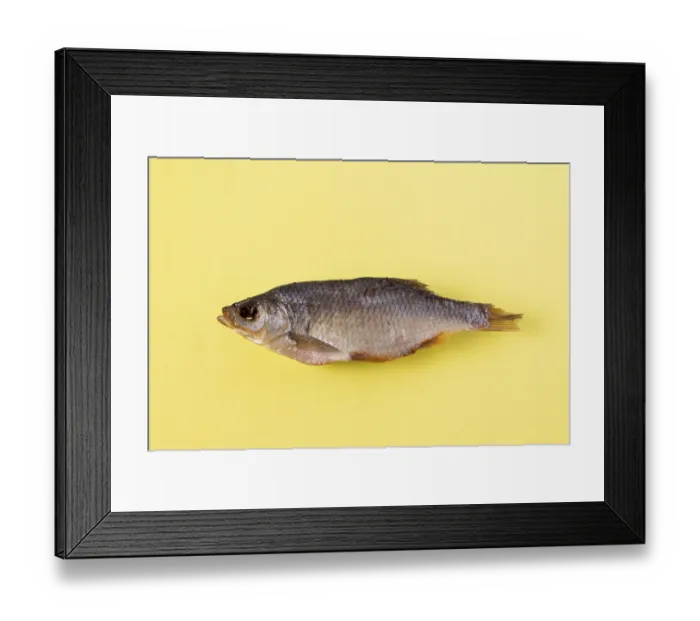 Framed Print : Dried fish - rudd on a yellow background, isolate Framed Print : Dried fish - rudd on a yellow background, isolate