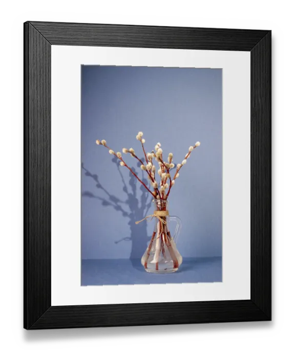 Framed Print : Willow twigs in a glass jar on a blue background