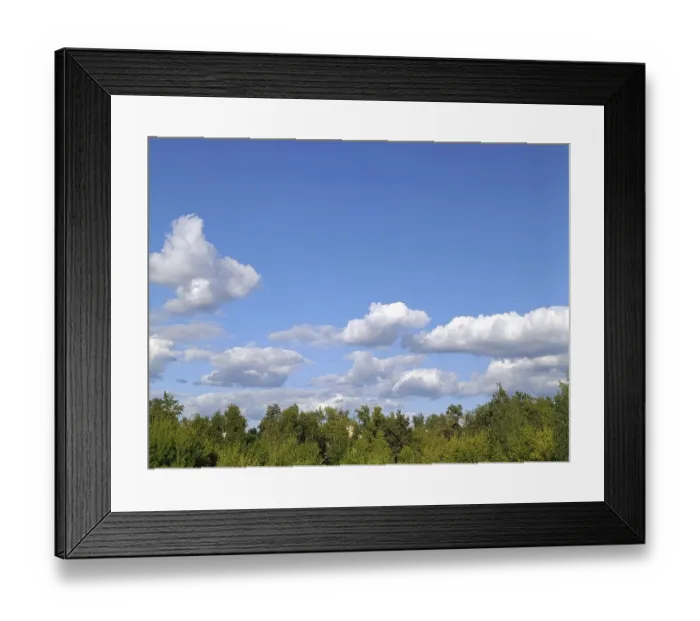 Framed Print : White clouds floating in blue sky over forest
