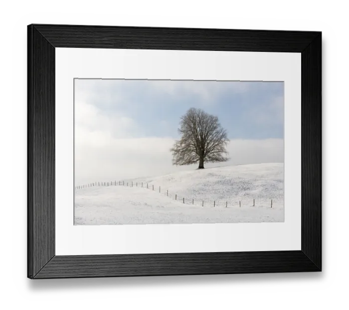 Framed Print : A lonely tree on a snowy hill under a cloudy sky Framed Print : A lonely tree on a snowy hill under a cloudy sky