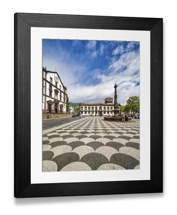 Framed Print : Town Hall and fountain at Praca do Municipio