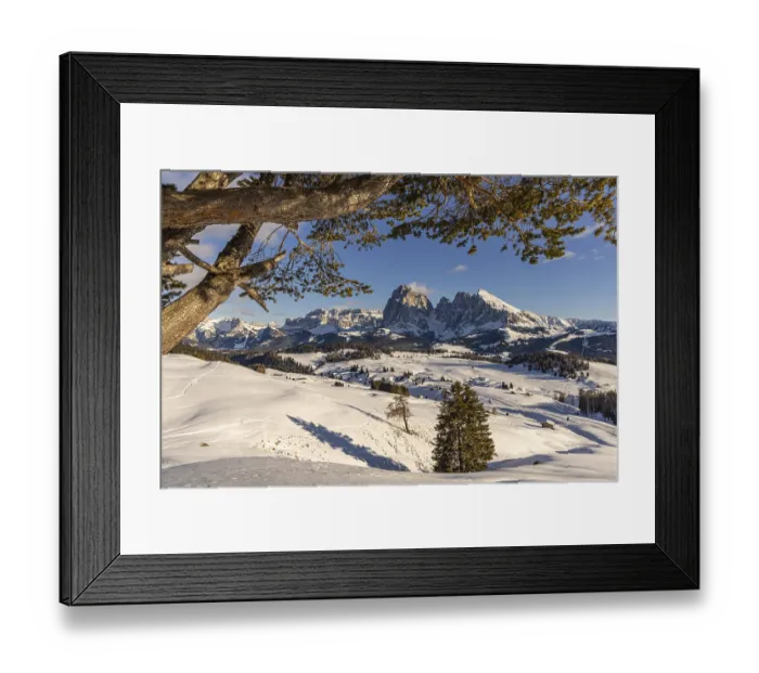 Framed Print : Alpe di Siusi at the Contrin hut Framed Print : Alpe di Siusi at the Contrin hut