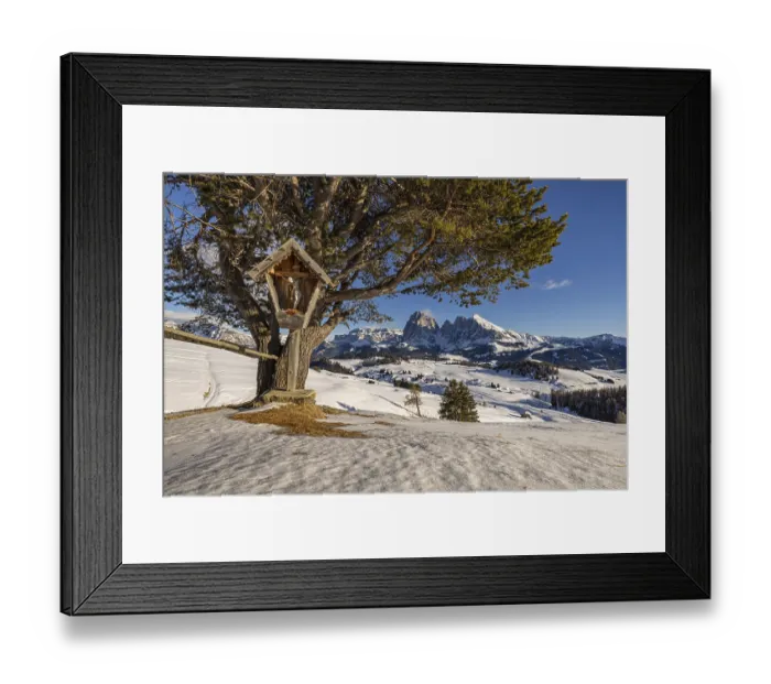 Framed Print : Alpe di Siusi at the Contrin hut