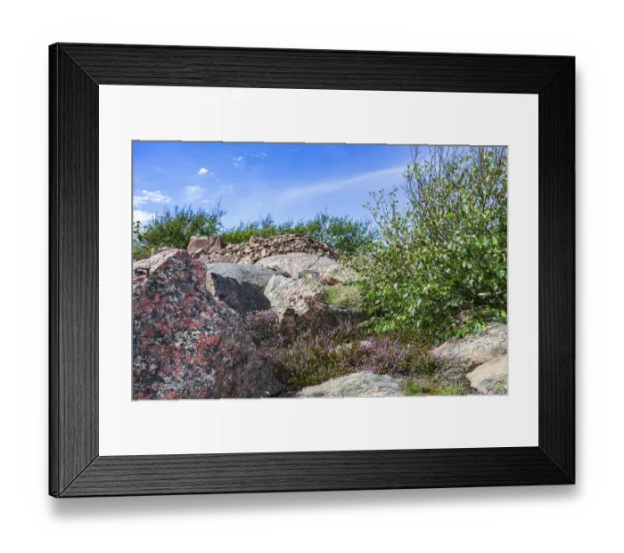 Framed Print : Rocky landscape of Bohusgranite and typical vegetation on the coast of Lysekil