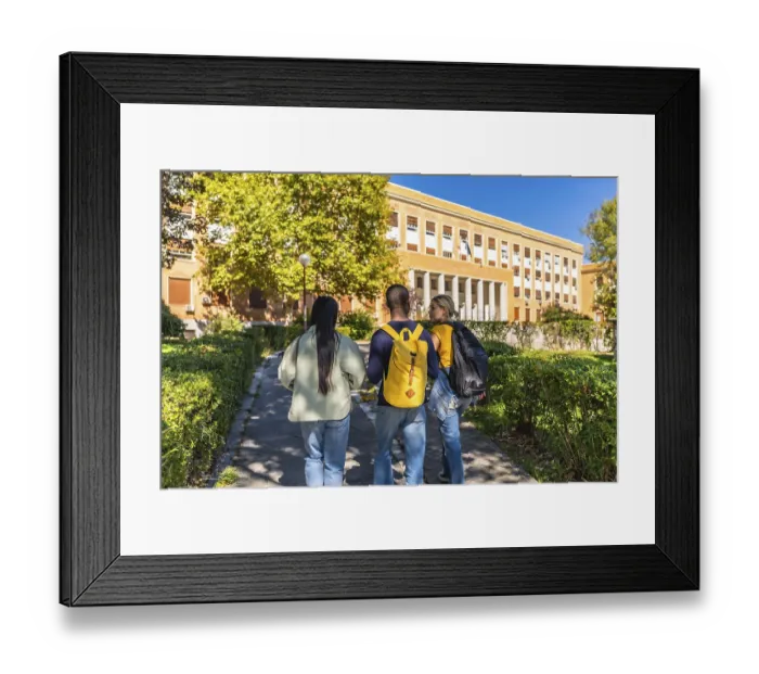 Framed Print : Rear view of three multi-ethnic students walking to the university Framed Print : Rear view of three multi-ethnic students walking to the university