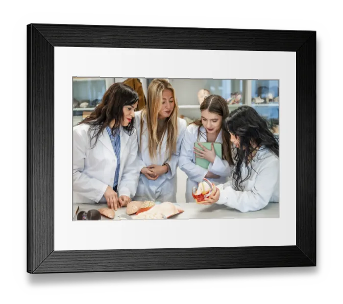 Framed Print : Four focused medical students examining anatomical models in university laboratory