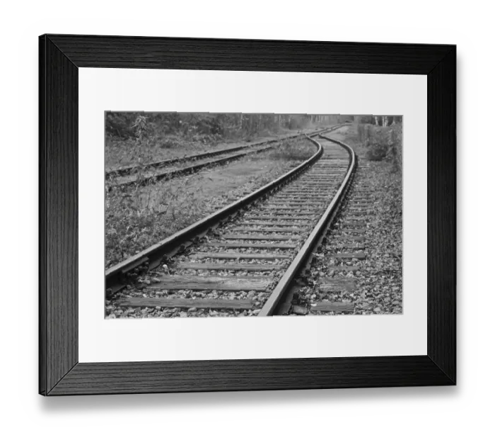 Framed Print : Deserted railway track disappearing into the woods in a black and white image of abandonment and decay
