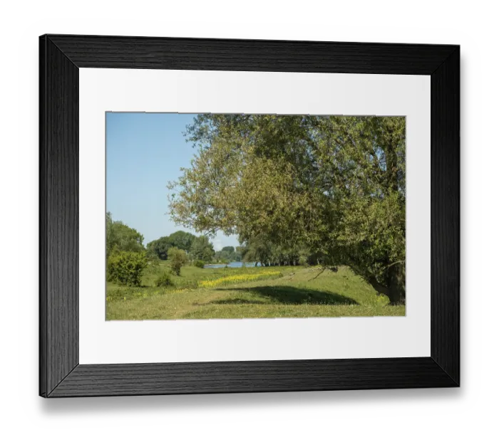 Framed Print : Poederoijen, Gelderland, Netherlands