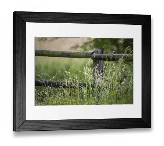 Framed Print : Borken, NRW, Germany, Weathered wooden fence protecting a field of vibrant green grass Framed Print : Borken, NRW, Germany, Weathered wooden fence protecting a field of vibrant green grass