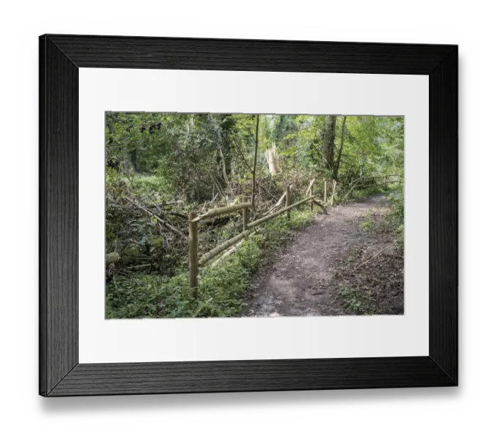 Framed Print : Hiking trail through dense green forest with damaged wooden fence Framed Print : Hiking trail through dense green forest with damaged wooden fence