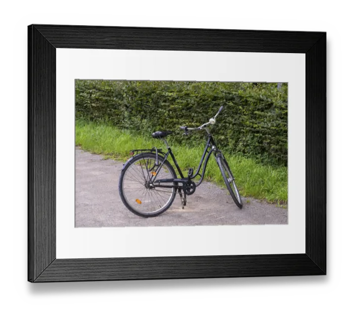 Framed Print : Black vintage bicycle parked on a gravel path next to a green hedge