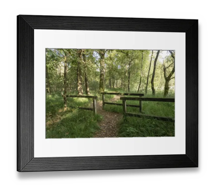 Framed Print : Dirt path leading into a dense forest with a simple wooden fence on each side