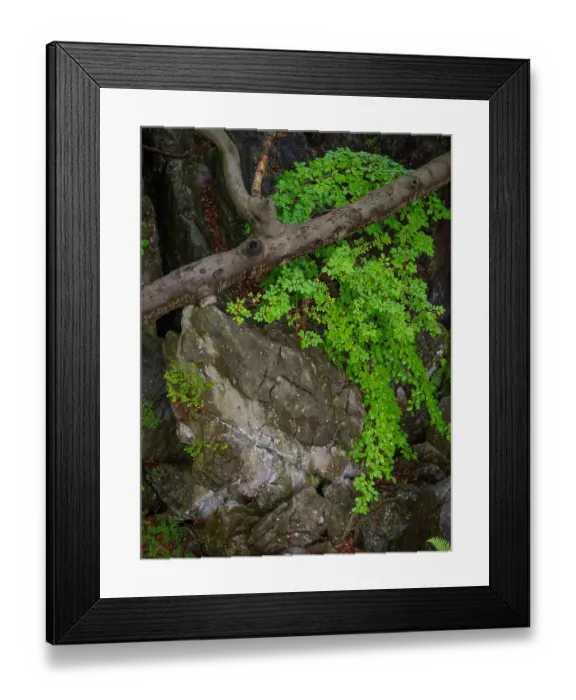 Framed Print : Impression from the Felsenmeer nature reserve Framed Print : Impression from the Felsenmeer nature reserve